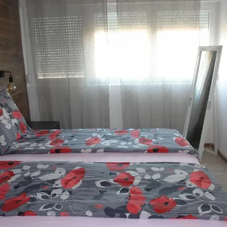 Appartement Milokanovic *